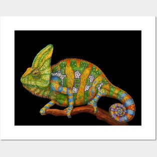 Veiled Chameleon Posters and Art